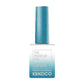 Kenzico Korean Gel Polish, Cat Eye Gel Polish CE-310